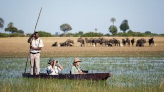 Mokoro Fahrt durch die Stille des Okavango Deltas