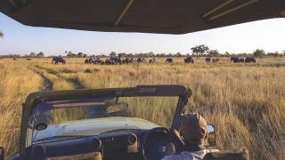 Fluss Safari im Norden Botswanas