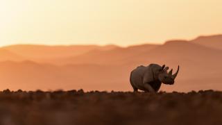 Namibia: Faszination zwischen Wüste und Meer