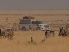 Safari vehicle in the Etosha National Park