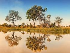 The Okavango Delta.